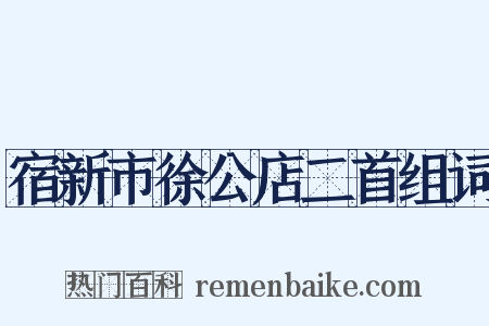 宿新市徐公店二首组词是什么意思的图片